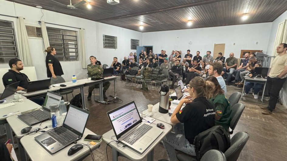 Medidas do Governo contra influenza aviária
